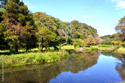 相模原公園の緑地