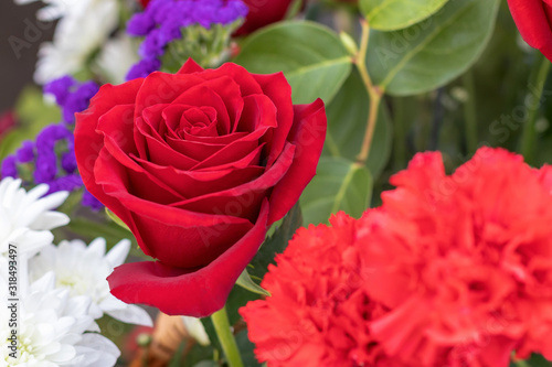 Red rose close-up in a bouquet of different flowers for background use