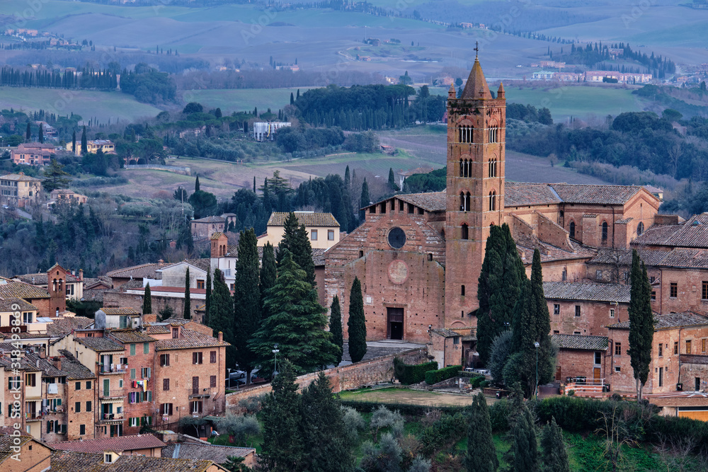 Vista di Siena dal famoso Facciatone.