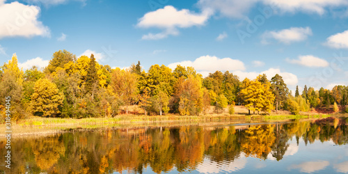 Panorama of beautiful autumn river bank on clear day