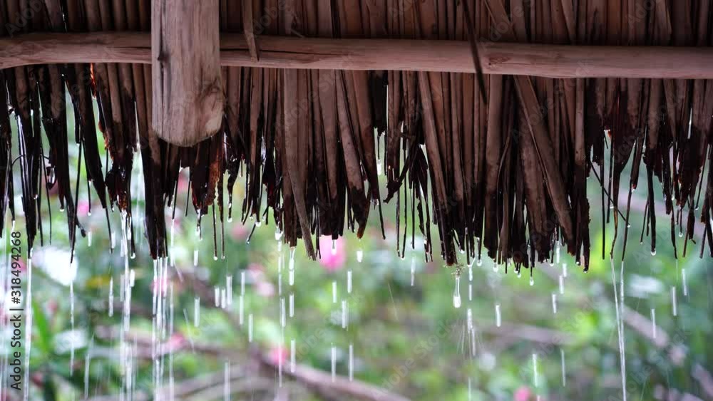 Vidéo Stock Tropical summer rain falling big rain drops falling down on