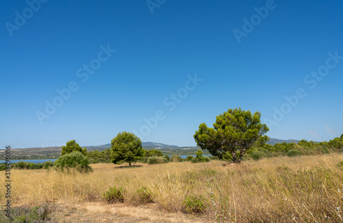 Bord de lac