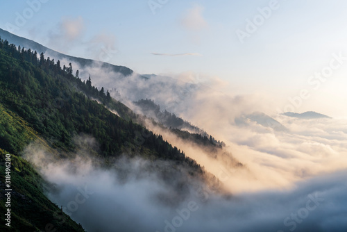 Misty dark forest landscape with cloud and fog. Hiking and tour concept.