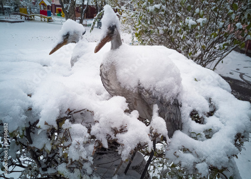 Fluffy white snow lies on the bushes and the figure of a stork. Snowy winter. Frost and cold..