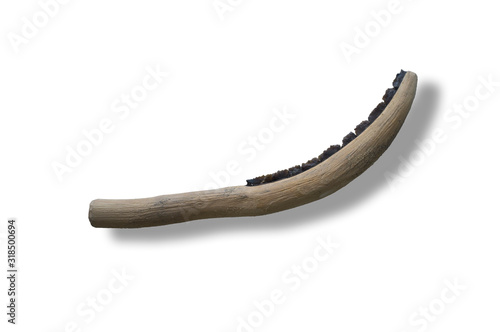 Neolithic curved sickle made with silex blades and wooden handle