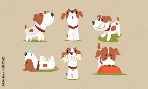 Cute Beagle Dog in Various Poses Collection, Funny Purebred Pet Animal Cartoon Character Vector Illustration