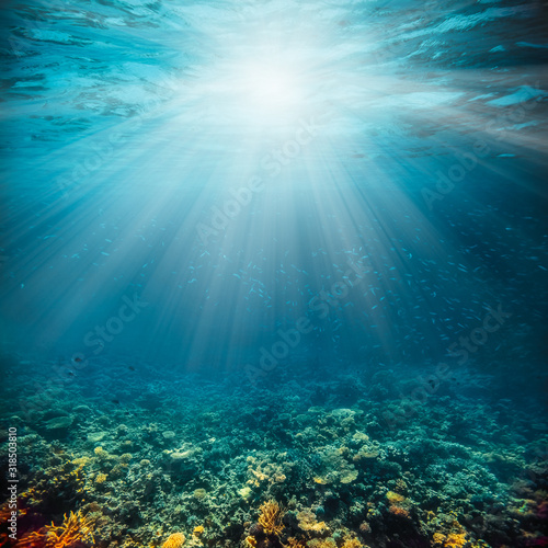 Underwater coral reef on the red sea © vovan