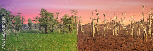 climate change crisis,  global warming impact on natue photo