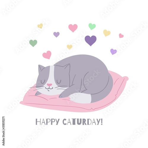 Cute cat, cartoon kitten dreaming on pillow vector illustration. Grey and white kitty with love hearts birthday card. Home pet animal cat isolated on white poster.