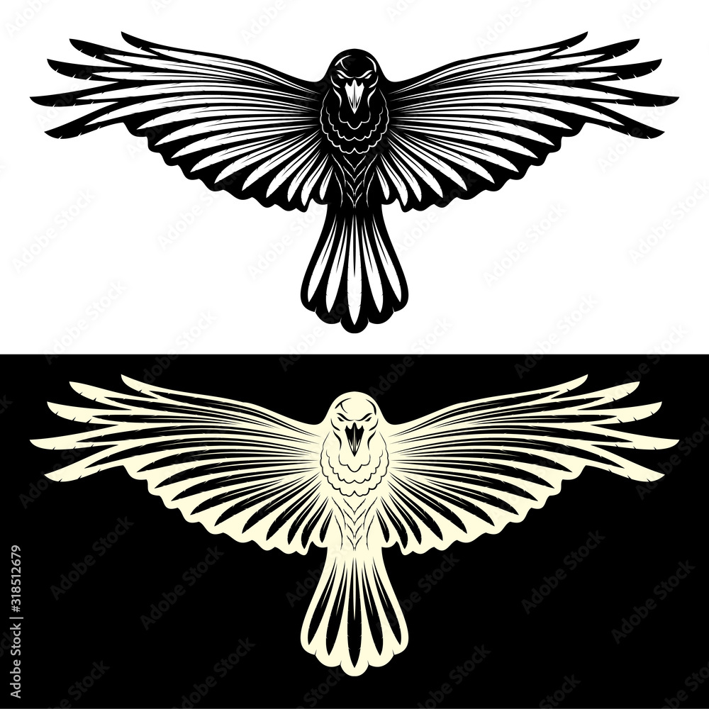 Obraz premium Black_Crow_Rawen_0002