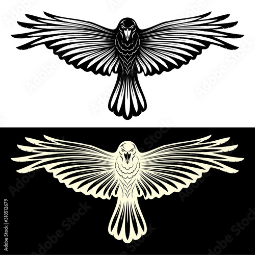 Black_Crow_Rawen_0002