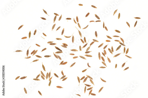 top view of cumin seeds scattered on White background