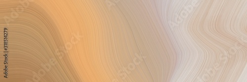 colorful header with tan, pastel gray and silver colors. dynamic curved lines with fluid flowing waves and curves
