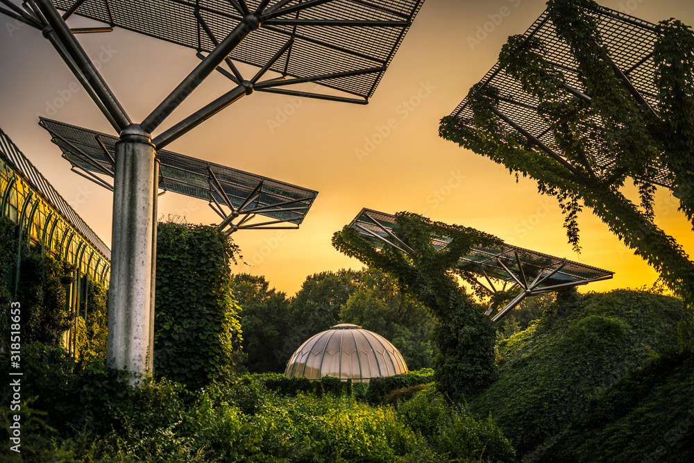 złoty zachód słońca w ogrodach BUW w Warszawie, czyste niebo bez chmur - obrazy, fototapety, plakaty 