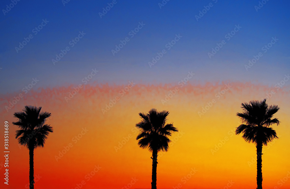 Three palm trees at red, blue and yellow colored sky background