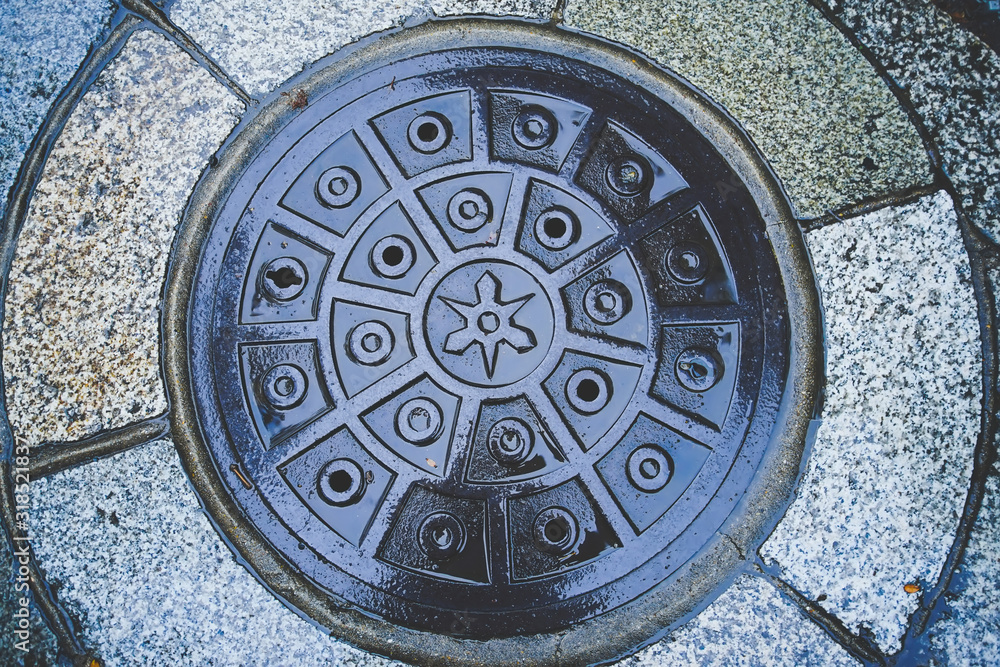Beautiful Manhole cover in Fushimi Inari Taisha shrine.