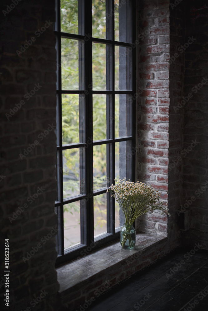 A charming bouquet of white little daisies in a glass jar on the windowsill. A charming bouquet of white little daisies in a glass jar on the windowsill.