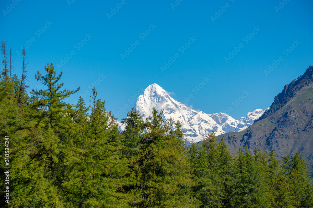 Neelkanth peak (elevation 6 500 meters) appear on the way to Bhavishya Badri in India