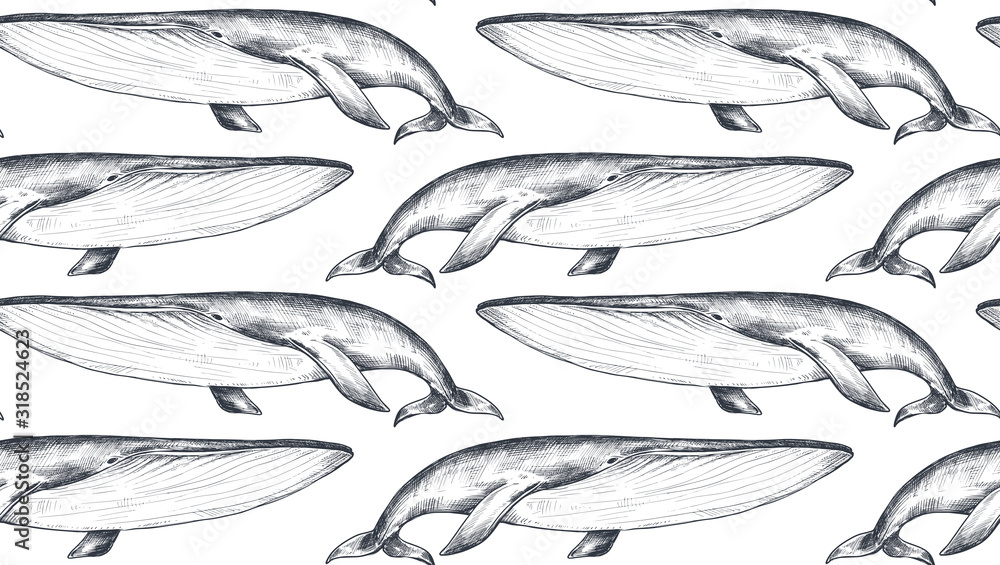 Vector monochrome seamless pattern with whales in sketch style. Underwater world. Vector monochrome seamless pattern with whales in sketch style. Underwater world.
