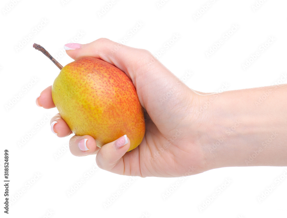 pear fresh fruit in hand on white background isolation pear fresh fruit in hand on white background isolation