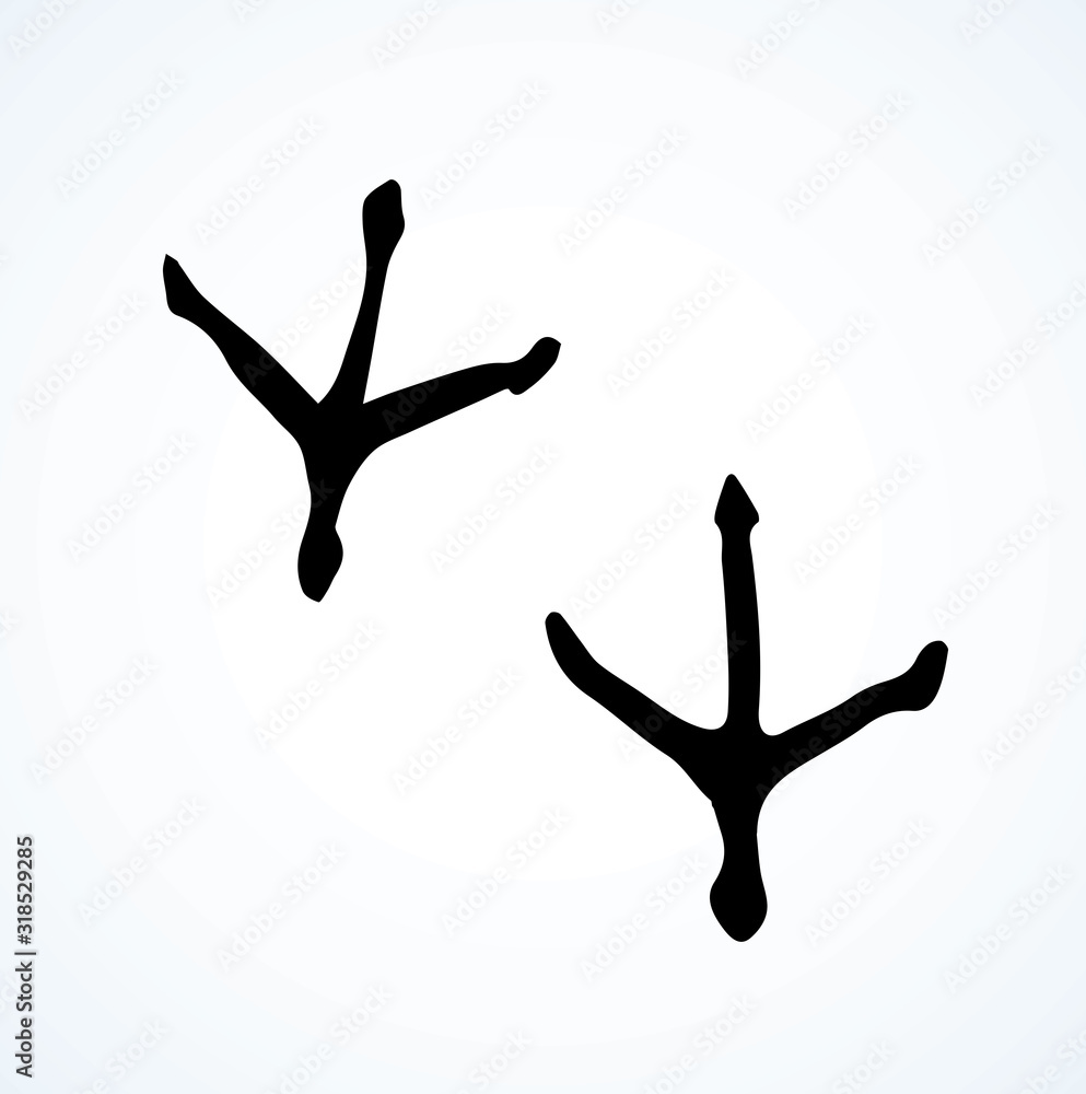 Traces of chicken. Vector drawing Traces of chicken. Vector drawing