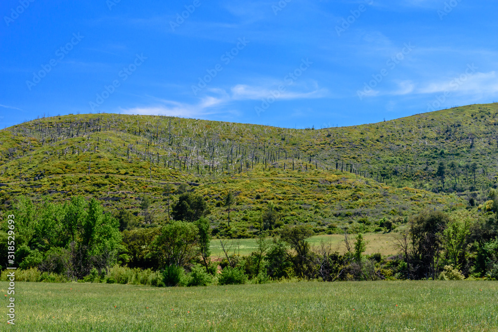 Green hills in the summer sunlight.