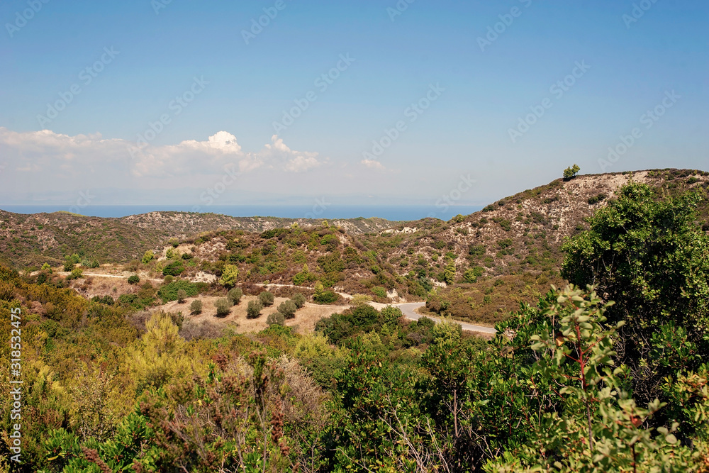 Obraz premium Mountains and olive trees in the Nothern Greece