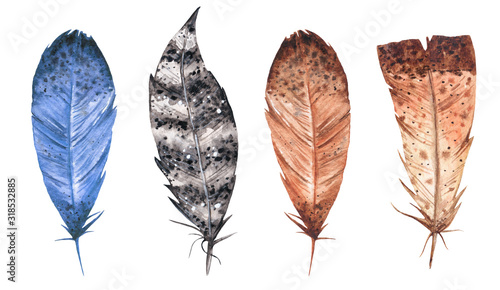 Watercolor set of feathers illustrations. Hand painted isolated elements. © Art.Lantana