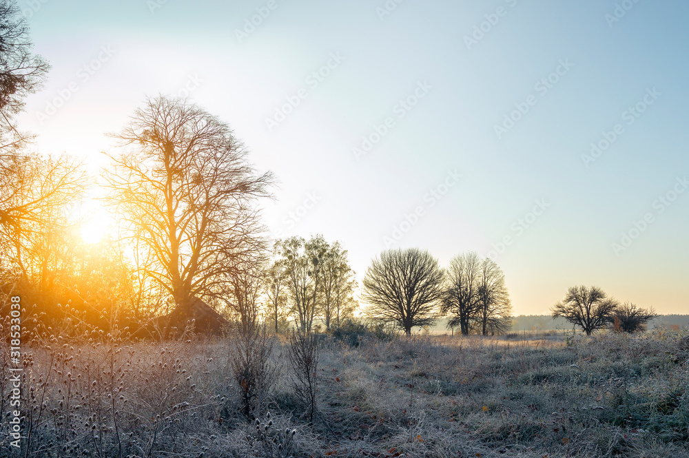 Scenery hoarfrost on plants and warm sunlight through trees. Sunrise and Russian landscape. Scenery hoarfrost on plants and warm sunlight through trees. Sunrise and Russian landscape.