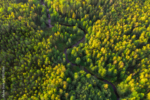 Little River In Forest At Sunset Time. Aerial view. © Alexander Ozerov