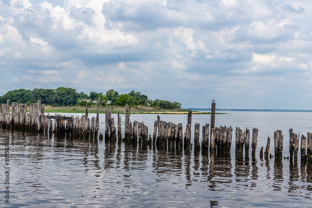 Pilings on the Bay