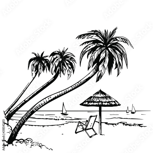 Beach. Scenery. Vector on a transparent background.