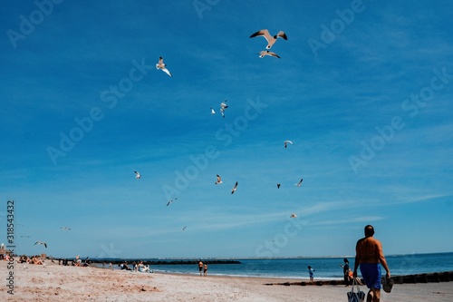 Seaguls on beach