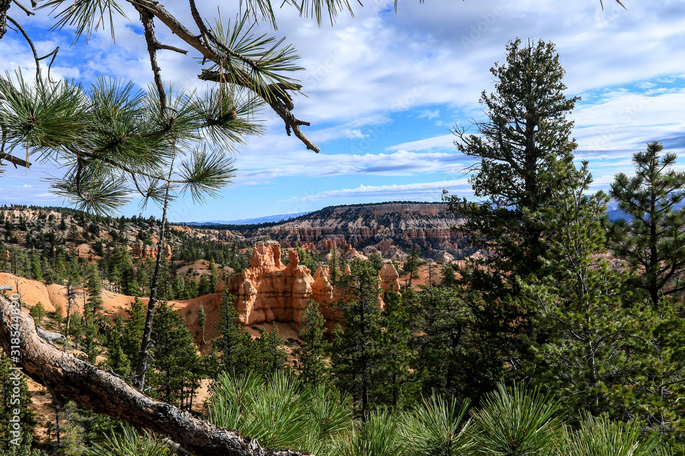 Panoramic View to the Nature of the Bryce Canyon National Park, USA Panoramic View to the Nature of the Bryce Canyon National Park, USA