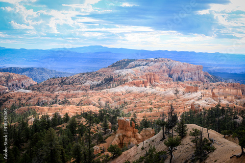 Panoramic View to the Nature of the Bryce Canyon National Park  USA