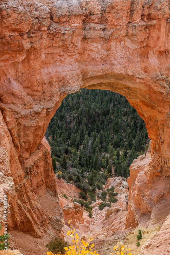 Amazing View to the Geological Structures called hoodoos in the Bryce Canyon National Park, USA