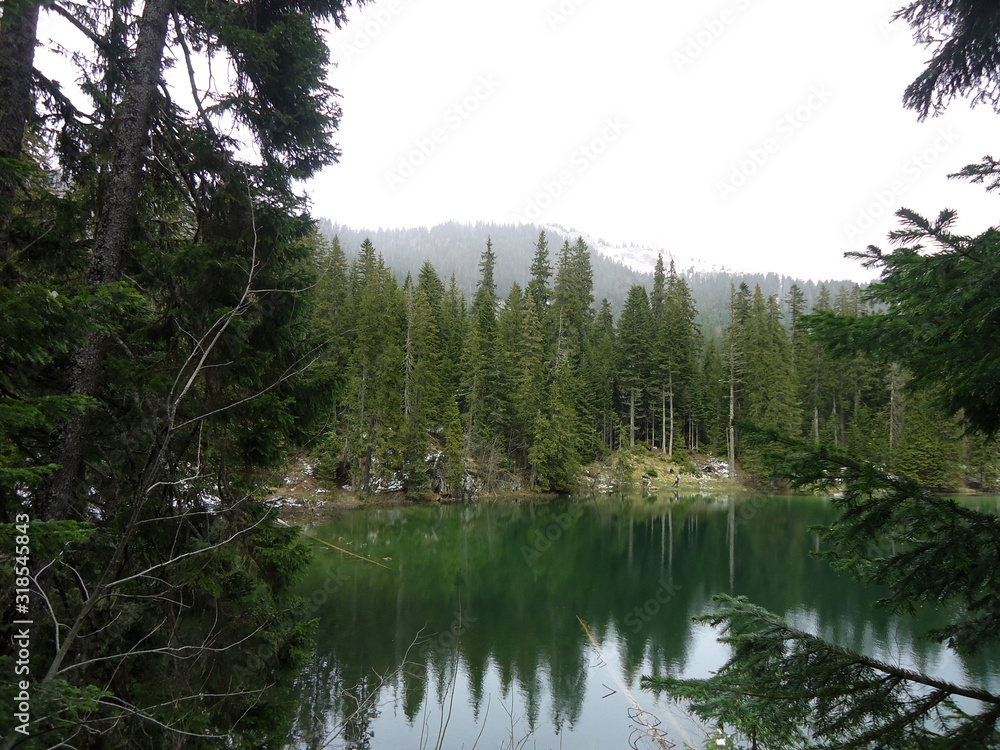 Lake in the forest, Durmitor