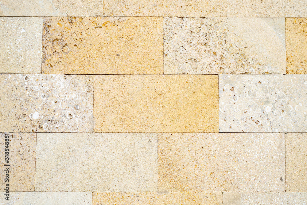 Obraz premium Brickwork of a shell rock. Stone porous texture with splashes of shell rock. Background structure. Copy space