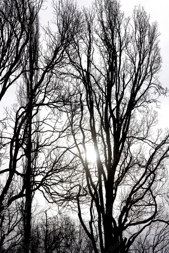 Wintersonne Wintersonne