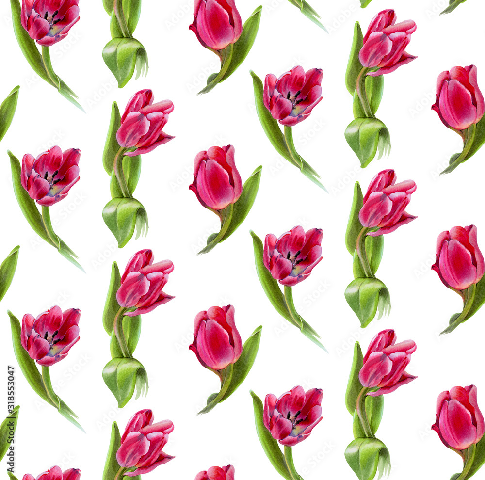 Watercolor flowers Watercolor flowers