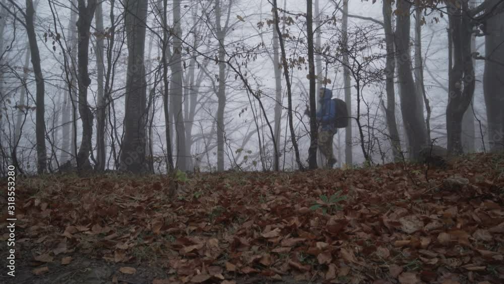 Alone in the woods. Lost tourist in the fog Alone in the woods. Lost tourist in the fog