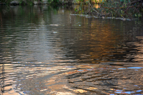 Rippled water surface with shore