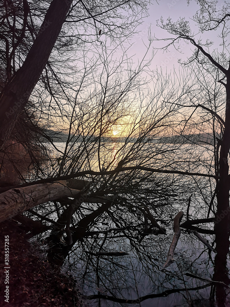 Fototapeta premium Winter