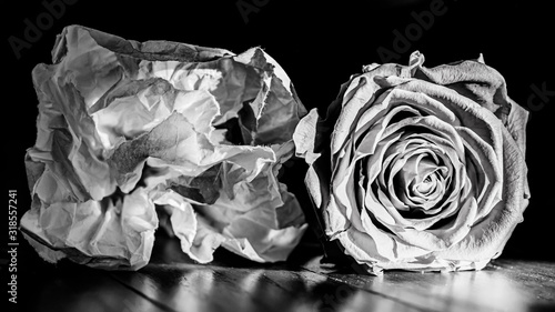 White Crumpled Paper Like a Red Rose
