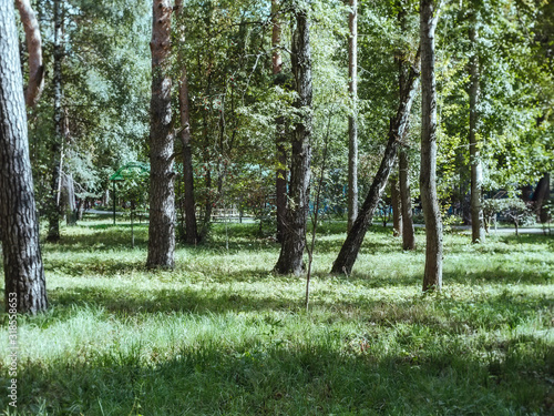 Photography path on the ground in the Park in autumn, Moscow