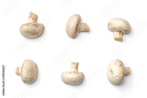 Mushroom champignon isolated on white background. Flat lay