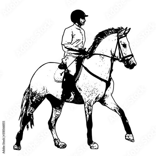 equestrian, sketch illustration - vector