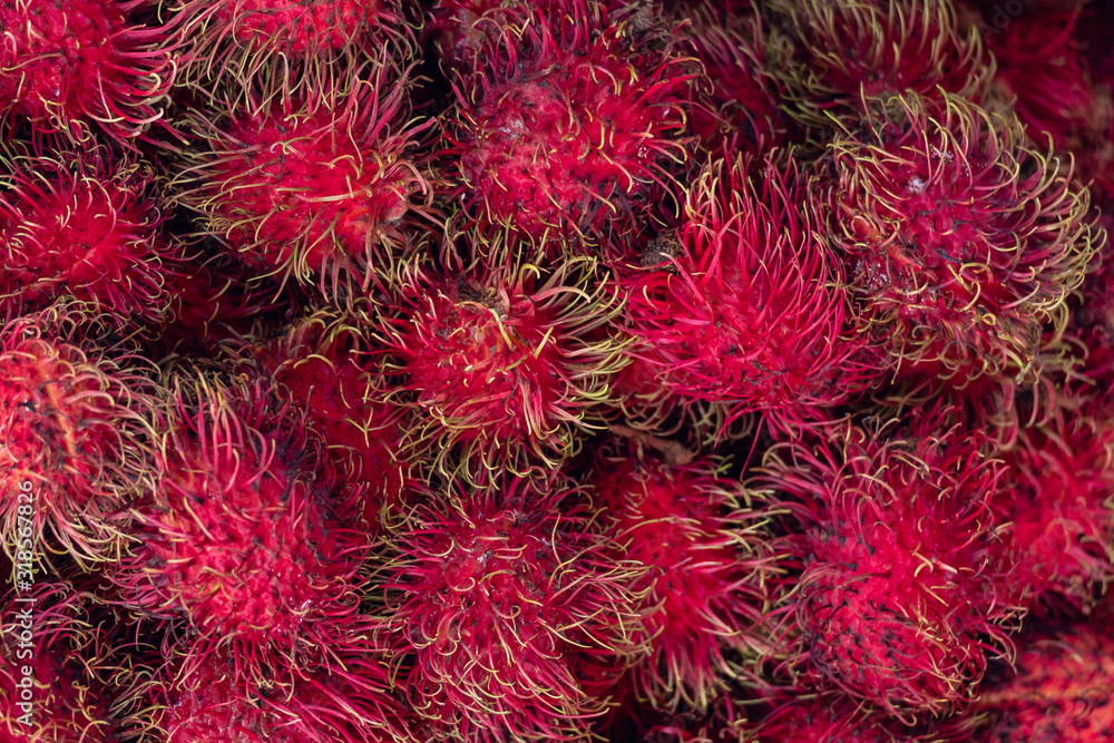 red rambutans fruits red rambutans fruits