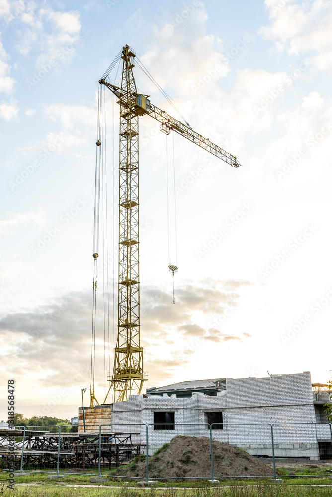 Construction of a high-rise building with a crane on the background of the sky. Construction site.
