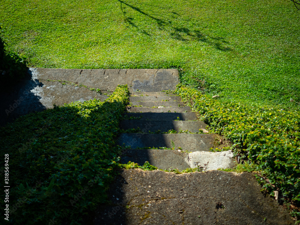 Cement stairway area, walkway decorated with green grass